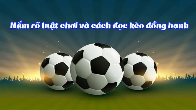 Hướng dẫn chi tiết cách đọc, tính tiền kèo đồng nửa